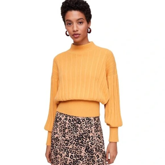 Wilfred Sweaters - WILFRED Icalma Merino Wool Sweater Aritzia Mock Neck Dolman Marana Women's Small